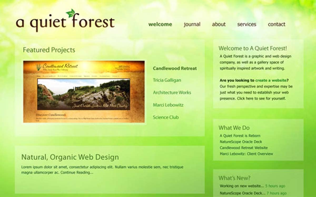 A Quiet Forest Website