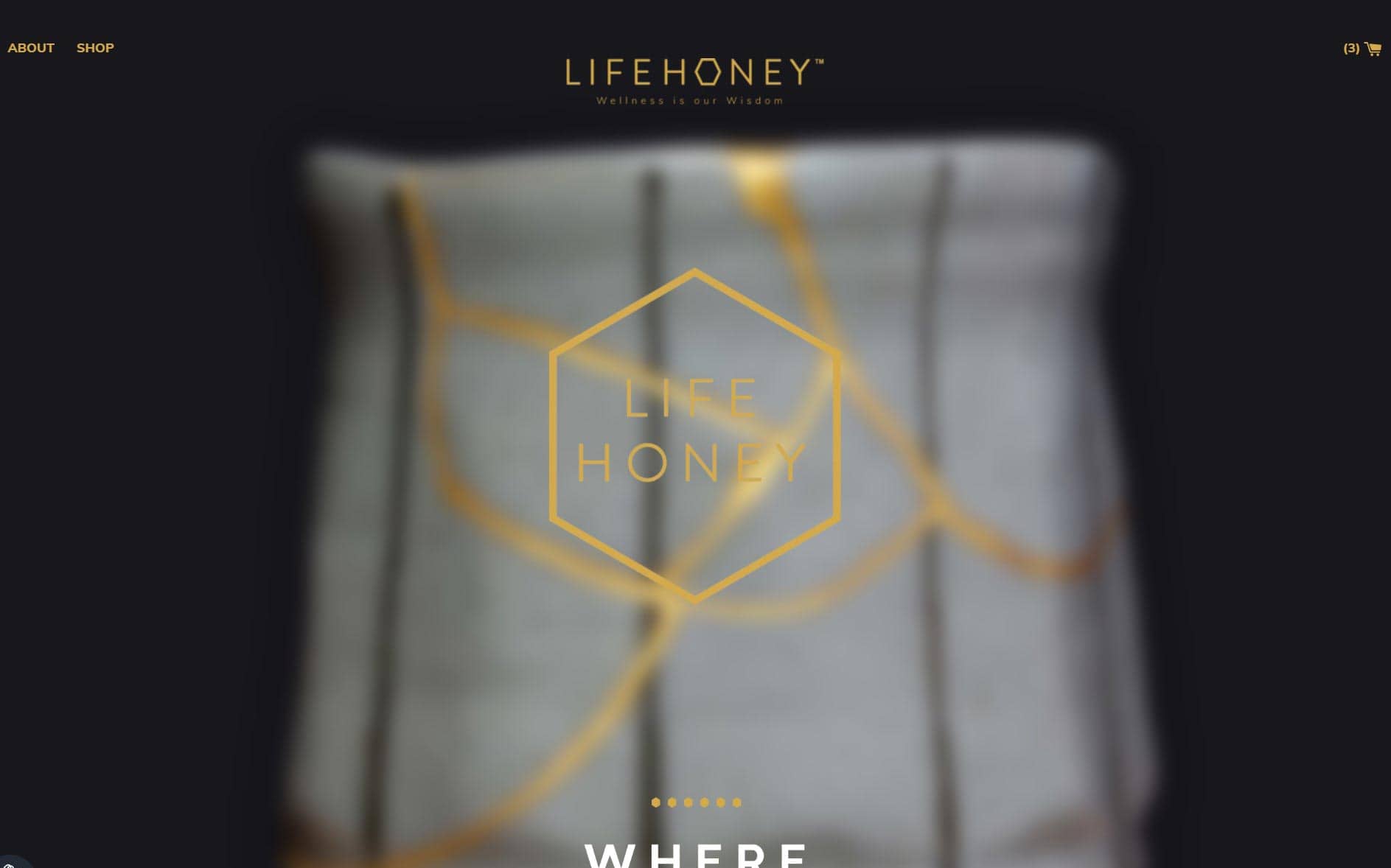 Custom Shopify Development Portfolio Example